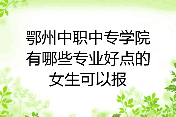 鄂州中职中专学院有哪些专业好点的女生可以报