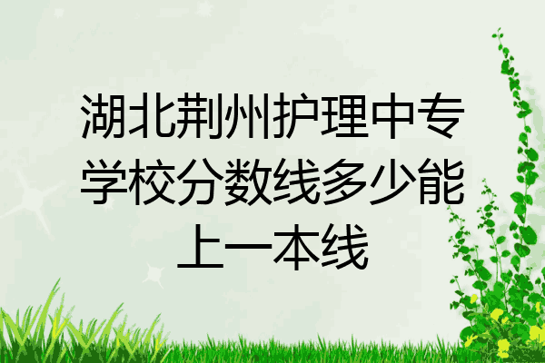 湖北荆州护理中专学校分数线多少能上一本线