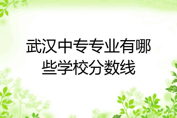 武汉中专专业有哪些学校分数线