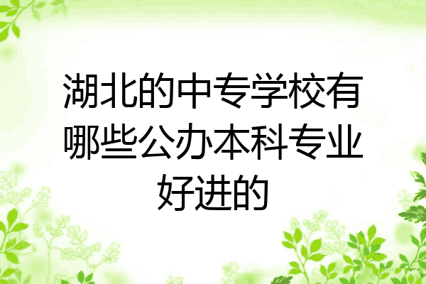 湖北的中专学校有哪些公办本科专业好进的