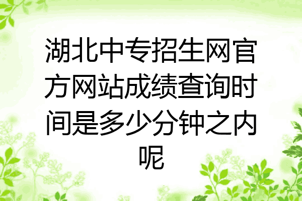 湖北中专招生网官方网站成绩查询时间是多少分钟之内呢