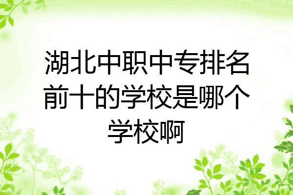 湖北中职中专排名前十的学校是哪个学校啊