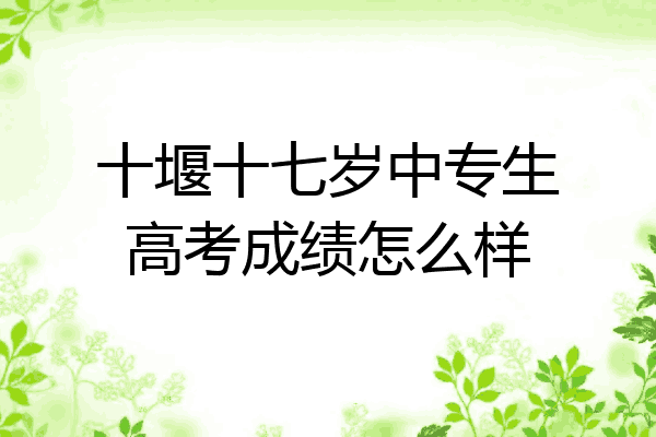 十堰十七岁中专生高考成绩怎么样