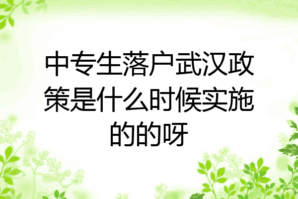 中专生落户武汉政策是什么时候实施的的呀