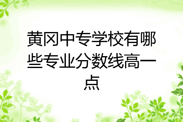 黄冈中专学校有哪些专业分数线高一点