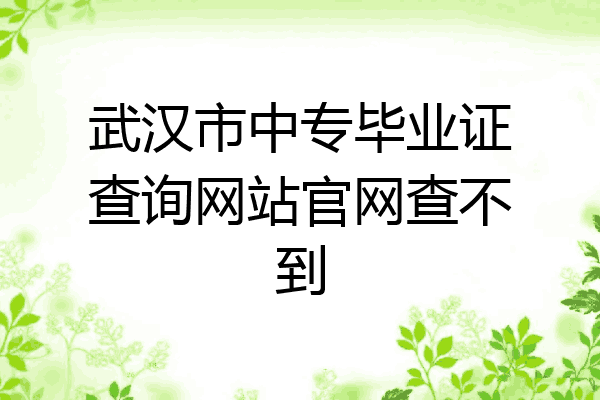武汉市中专毕业证查询网站官网查不到