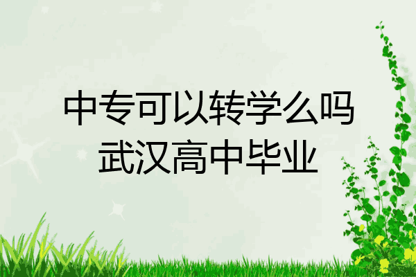 中专可以转学么吗武汉高中毕业