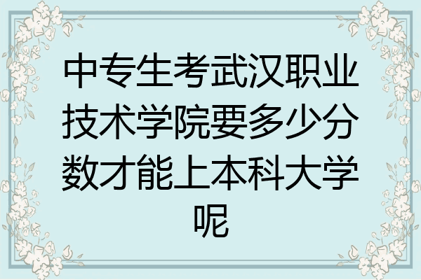 中专生考武汉职业技术学院要多少分数才能上本科大学呢