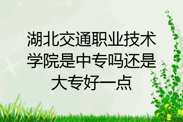 湖北交通职业技术学院是中专吗还是大专好一点