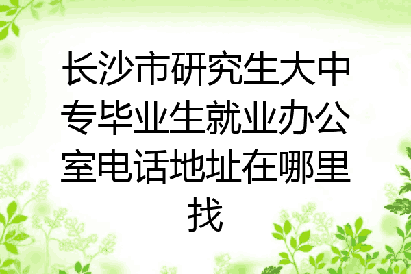 长沙市研究生大中专毕业生就业办公室电话地址在哪里找