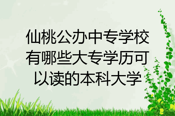 仙桃公办中专学校有哪些大专学历可以读的本科大学