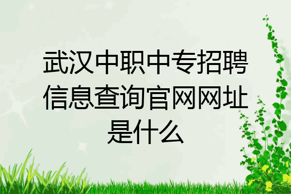 武汉中职中专招聘信息查询官网网址是什么