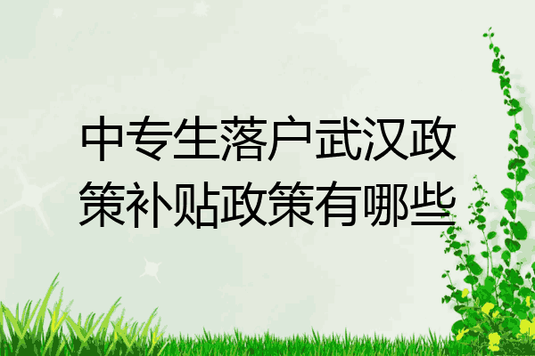 中专生落户武汉政策补贴政策有哪些