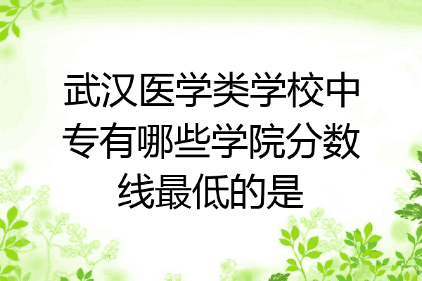 武汉医学类学校中专有哪些学院分数线最低的是