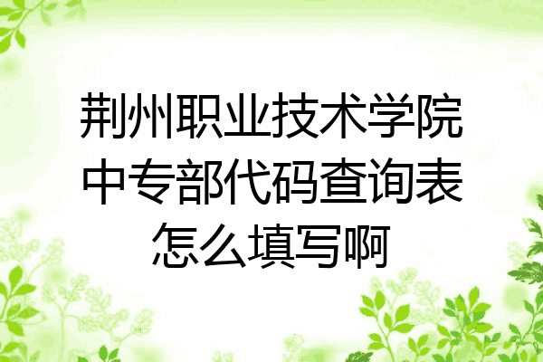 荆州职业技术学院中专部代码查询表怎么填写啊