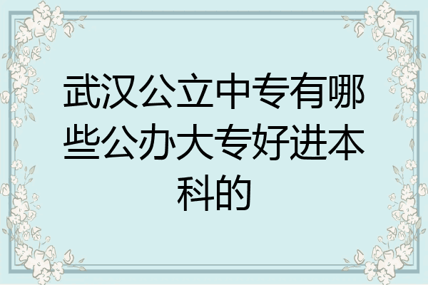武汉公立中专有哪些公办大专好进本科的