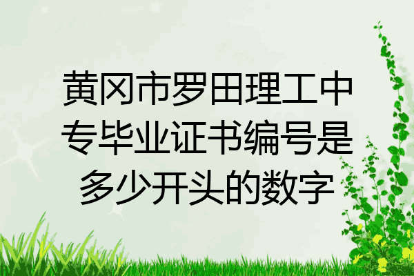 黄冈市罗田理工中专毕业证书编号是多少开头的数字