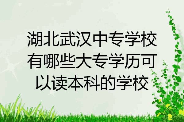 湖北武汉中专学校有哪些大专学历可以读本科的学校