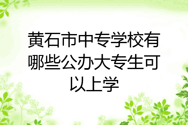 黄石市中专学校有哪些公办大专生可以上学