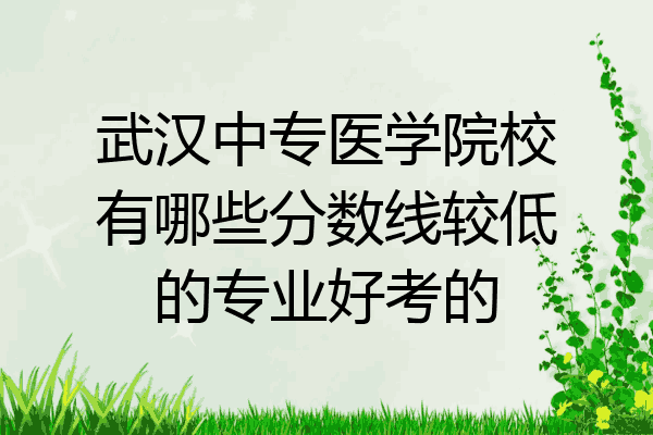 武汉中专医学院校有哪些分数线较低的专业好考的