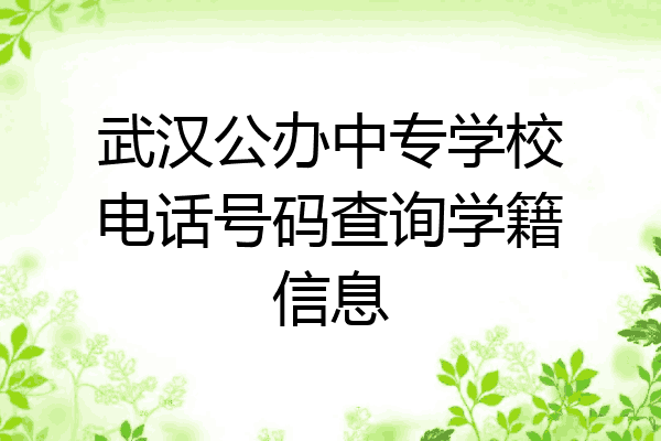 武汉公办中专学校电话号码查询学籍信息
