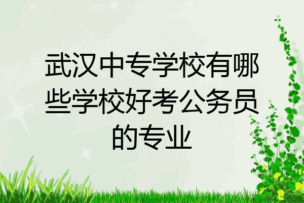 武汉中专学校有哪些学校好考公务员的专业