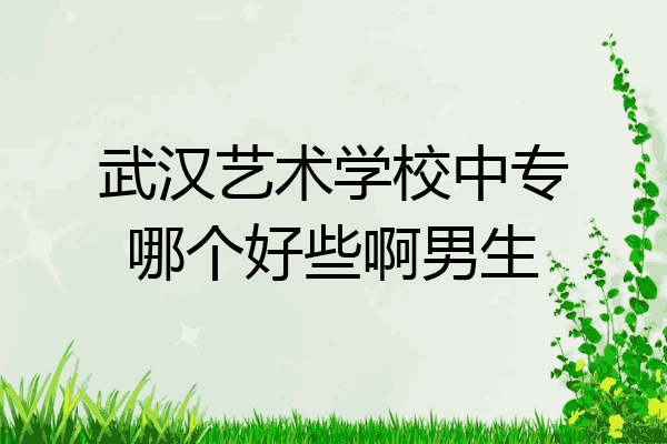 武汉艺术学校中专哪个好些啊男生
