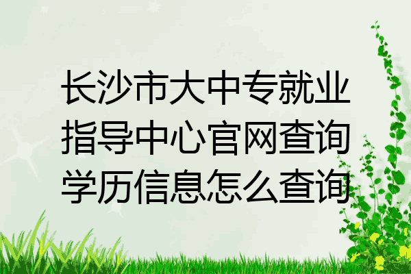 长沙市大中专就业指导中心官网查询学历信息怎么查询