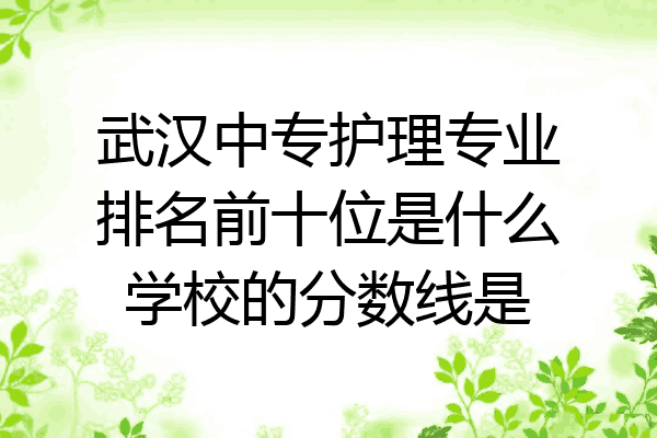 武汉中专护理专业排名前十位是什么学校的分数线是