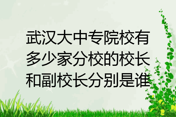 武汉大中专院校有多少家分校的校长和副校长分别是谁