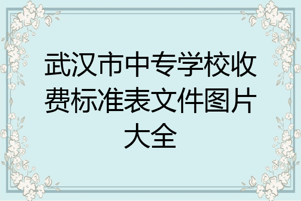 武汉市中专学校收费标准表文件图片大全