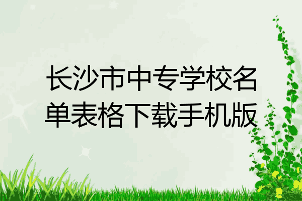 长沙市中专学校名单表格下载手机版