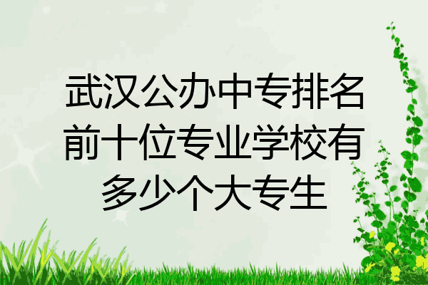 武汉公办中专排名前十位专业学校有多少个大专生