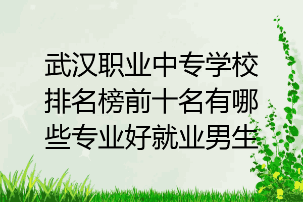 武汉职业中专学校排名榜前十名有哪些专业好就业男生