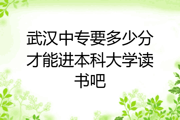 武汉中专要多少分才能进本科大学读书吧