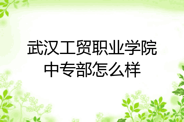 武汉工贸职业学院中专部怎么样