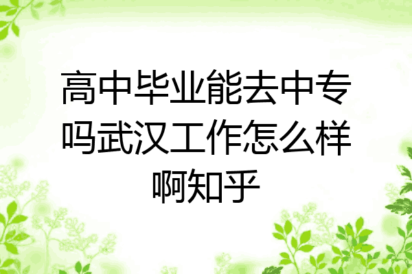 高中毕业能去中专吗武汉工作怎么样啊知乎