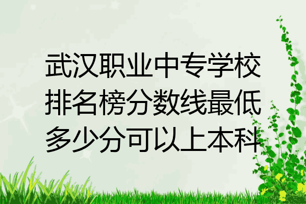 武汉职业中专学校排名榜分数线最低多少分可以上本科