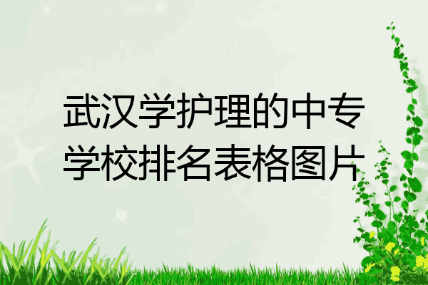 武汉学护理的中专学校排名表格图片