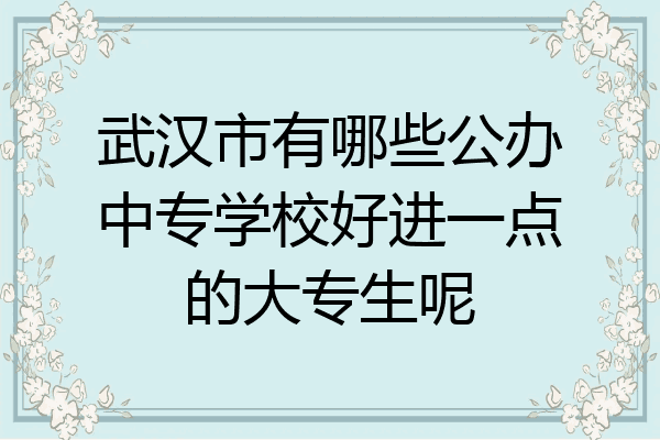 武汉市有哪些公办中专学校好进一点的大专生呢