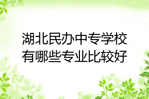 湖北民办中专学校有哪些专业比较好
