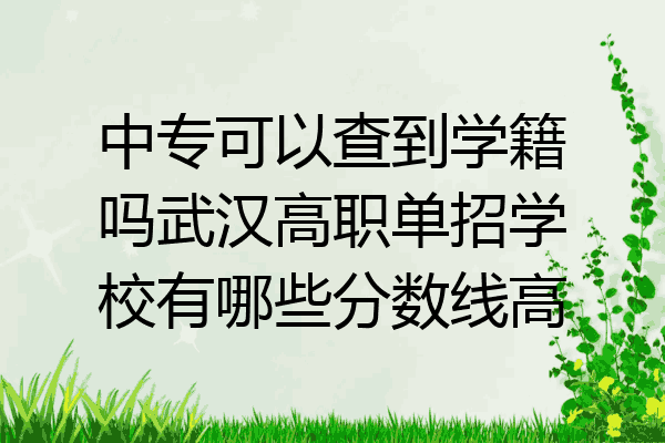 中专可以查到学籍吗武汉高职单招学校有哪些分数线高
