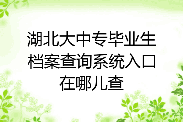 湖北大中专毕业生档案查询系统入口在哪儿查