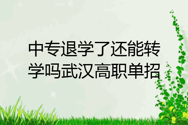 中专退学了还能转学吗武汉高职单招