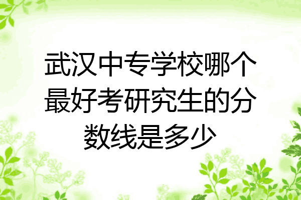 武汉中专学校哪个最好考研究生的分数线是多少