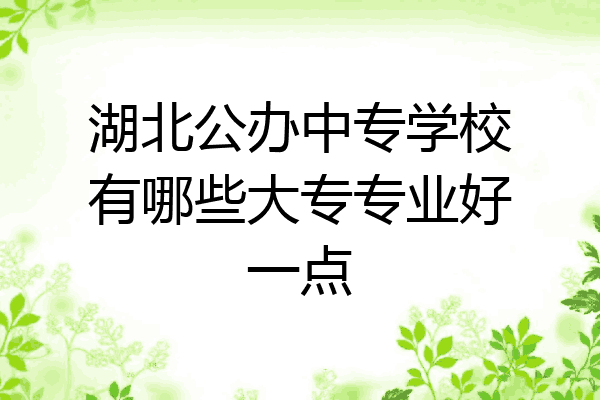 湖北公办中专学校有哪些大专专业好一点