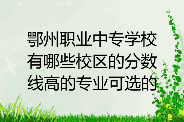 鄂州职业中专学校有哪些校区的分数线高的专业可选的
