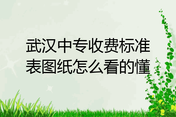 武汉中专收费标准表图纸怎么看的懂