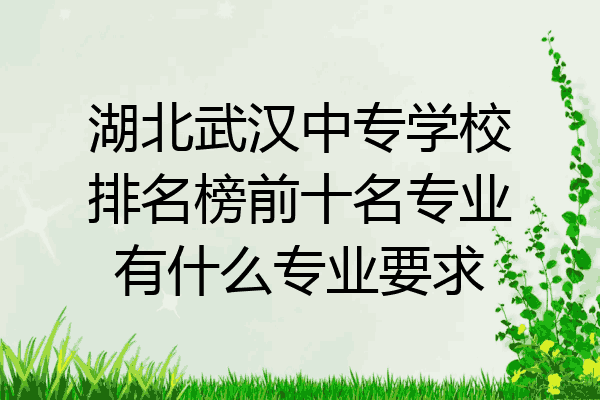 湖北武汉中专学校排名榜前十名专业有什么专业要求