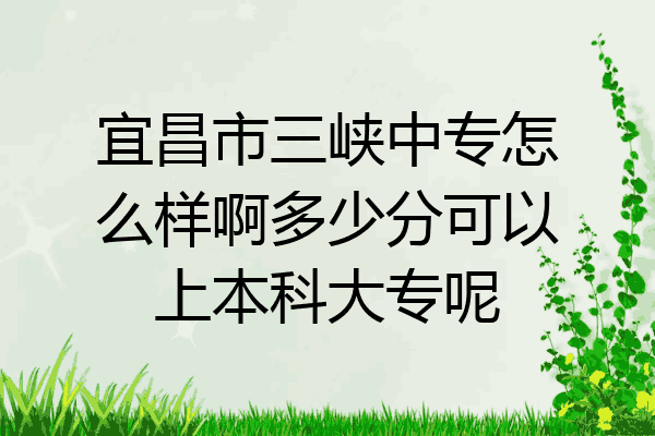 宜昌市三峡中专怎么样啊多少分可以上本科大专呢
